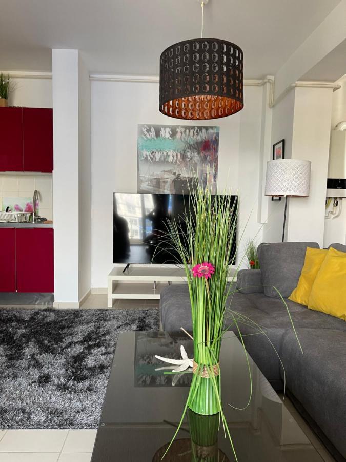 Apartment Happiness by Nicole Jutka, visual artist Olimp Esterno foto